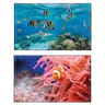 Sous main aquarium
