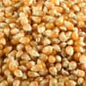 Juste bio maïs à pop corn bio