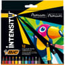 Bic intensity feutre de coloriage x12