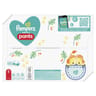 Pampers baby dry pants couches culottes géant maxi T5 x76