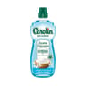 Carolin multi-surfaces recettes originelles bicarbonate 1l