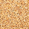 Juste bio petit épeautre bio vrac