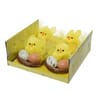 Boite 4 nids avec poussins et oeufs