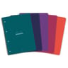 Cahier reliure intégrale microperf 223x295 160 pages 5x5 rhodia