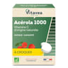 Vitavea acérola 1000 vitamine C d'origine naturelle bio 70g