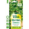 Vita Vilmorin persil à feuilles commun 2 bio
