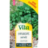 Vita Vilmorin coriandre cultivée eco