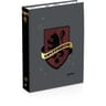 CLASSEUR CARTE A4 D40 HARRY POTTER 2 DECORS ASSORTIS