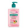 Sanytol gel lavant de cuisine desinfectant 250ml