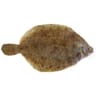 Limande sole