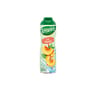 Teisseire pêche  60cl