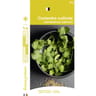 Francegraines Coriandre cultivée