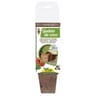 8 godets coco carres 8 cm