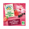 La tisaniere pause gourmande bio fruits rouges & hibiscus 20s 32g