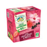 La tisaniere pause gourmande bio fruits rouges & hibiscus 20s 32g