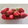 Barquette de fraise 500g charlotte