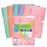 Clairefontaine lot 5 cahiers piqure 21x29.7 96 pages seyes blush