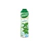 Teisseire menthe transparente 60cl