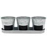 3 pots sur plateau en zinc avec ardoise