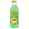 Calypso kiwi 473ml