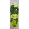 Persil plat botte 30g