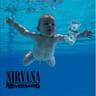 Vinyle 33t nirvana nevrmind