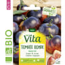 Vita Vilmorin tomate bleue P20 bio