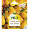 Vita Vilmorin tomate yellow pearshaped