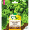 Vita Vilmorin chicoree sauvage blonde