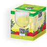 Incanto bougie citronnelle et géraniol 120g