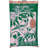 Riga mélange de graines pour bengalis coussin 1kg