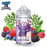 Nash (absinthe fruits rouges) boosté 200ml - Monster