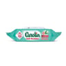 Carolin lingettes maxi anti-bacterien à l'huile esssentielle d'eucalyptus  x80