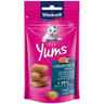 Vitakraft cat yums saumon 40g