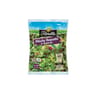 Florette salade trio mâche roquette betterave sachet 175g