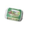 Coquy oeufs bio x 6 poules plein air moyens