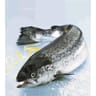 Saumon entier 1/2 kg