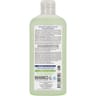 Natessance shampooing équilibrant purifiant tea tree 250ml