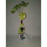 Vigne de table motte variété assorties