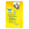 Beghin Say saveur vergeoise blonde vanille 500g