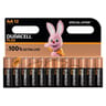 Duracell plus 100% aa x12 special offer 297g