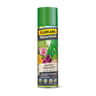 Algoflash Naturasol traitement insectes polyvalent rosiers 300 ML