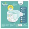 Pampers baby dry  couches 4kg - 8kg taille 2 x124