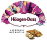 Haagen dazs obsession collection macadamia nut brittle 460ml 400g