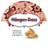 Haagen dazs pot peanut butter crunch 460ml 400g