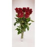 9 roses rouge 40 cm bouton 3.8 cm