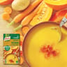 Knorr velouté de potiron à la crème fraiche 500 ml