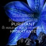 Ultra doux masque remède hydratant 72h charbon magnétique 340ml