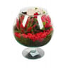Composition 2 plantes en verre cognac