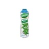 Teisseire zero menthe 60cl
